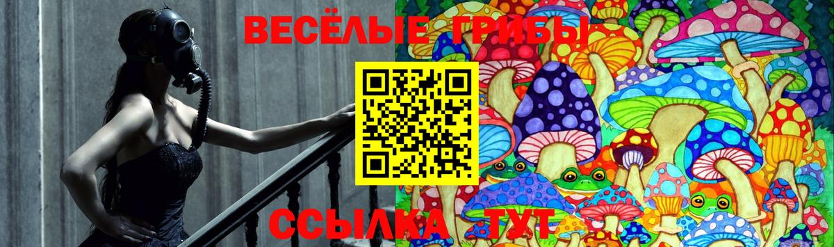 Псилоцибиновые грибы GOLDEN TEACHER Спасск-Дальний