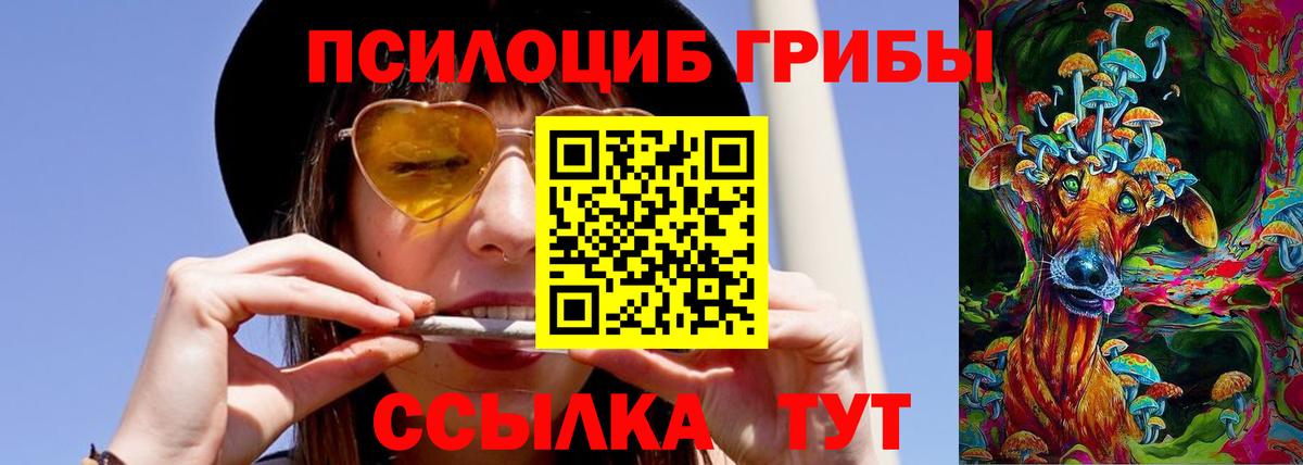 Спасск-Дальний  Галлюциногенные грибы MAGIC MUSHROOMS  Вход с VPN 